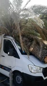 palma caduta su un furgoncino a causa delle raffiche di vento che stanno colpendo messina