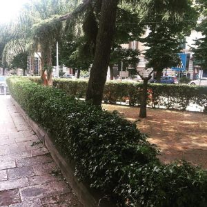 foto post pulizia da parte di messinaservizi di piazza fulci, via garibaldi, messina
