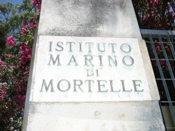 Istituto Marino Mortelle