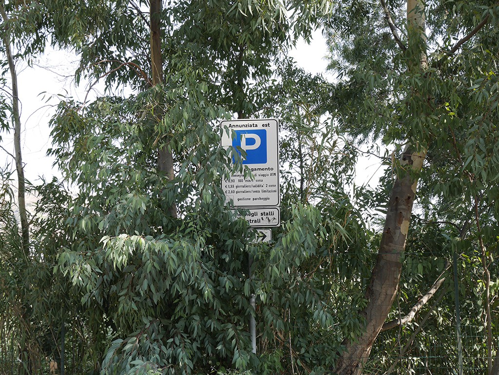 Foto dei cartelli del parcheggio coperti dalle piante - Fermata tram Annunziata