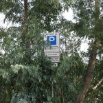 Foto dei cartelli del parcheggio coperti dalle piante - Fermata tram Annunziata