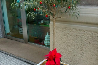 Foto 04 - Addobbi natalizi Messina, Via dei Mille