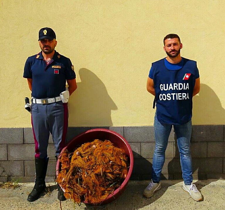 Foto del pesce sequestrato da Polizia e Guardia Costiera a Gioiosa Marea