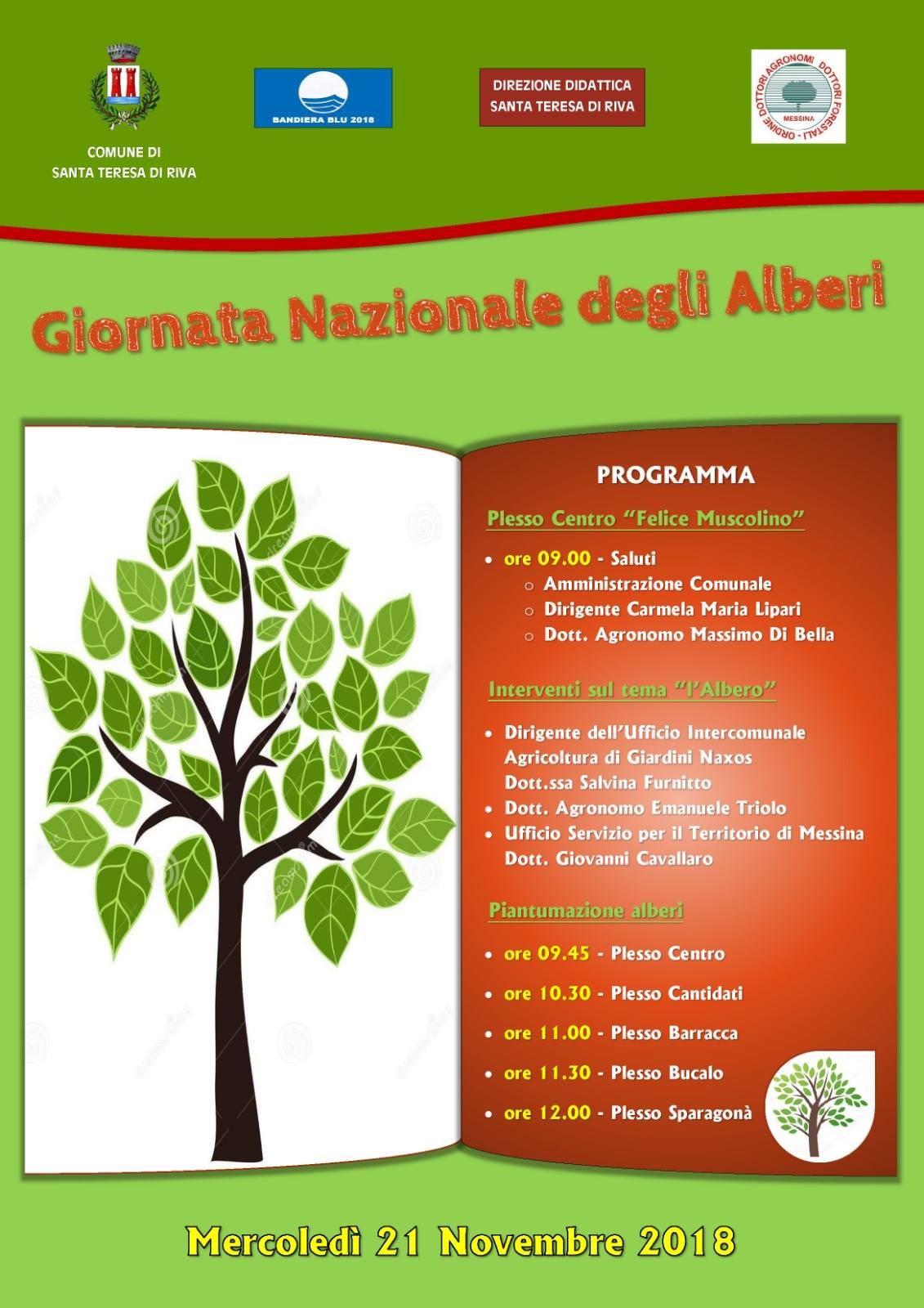giornata nazionale dell'albero messina
