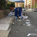 Foto dei cinghiali in mezzo ai cassonetti colmi di immondizia, rifiuti Messina