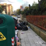 Foto dei cinghiali in mezzo ai cassonetti colmi di immondizia, rifiuti Messina