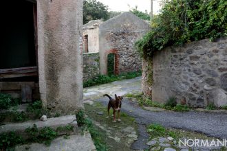 Luoghi di Messina: il villaggio fantasma, massa san nicola