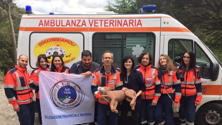 ambulanza veterinaria dell'associazione soccorriamoli messina onlus