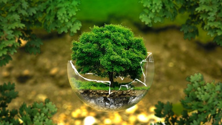 foto di un albero in una palla di vetro, simbolo della necessità di scelte ecologiche e green per l ambiente