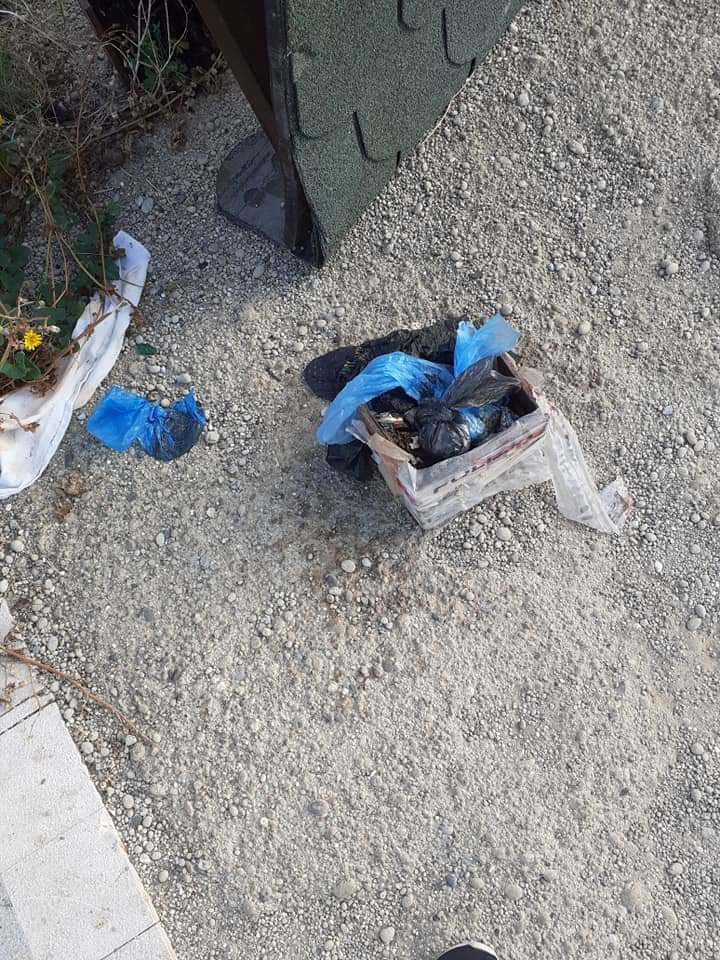 degrado a ganzirri: sacchetti contenenti defezioni canine abbandonati sul lungolago di Messina, per terra e nelle fioriere