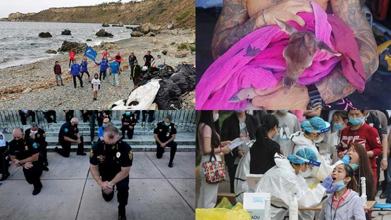 quattro belle notizie da messina, dall'italia e dal mondo