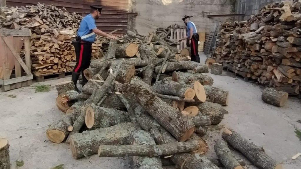 arresto per tentato furto di legna al parco dei nebrodi
