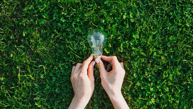 foto di una lampadina sull'erba simboleggiante le idee sostenibili