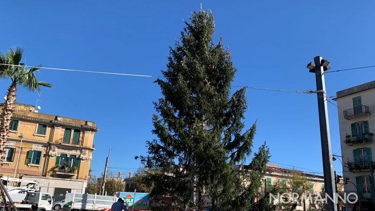 natale a messina, allestimento a piazza cairoli: albero