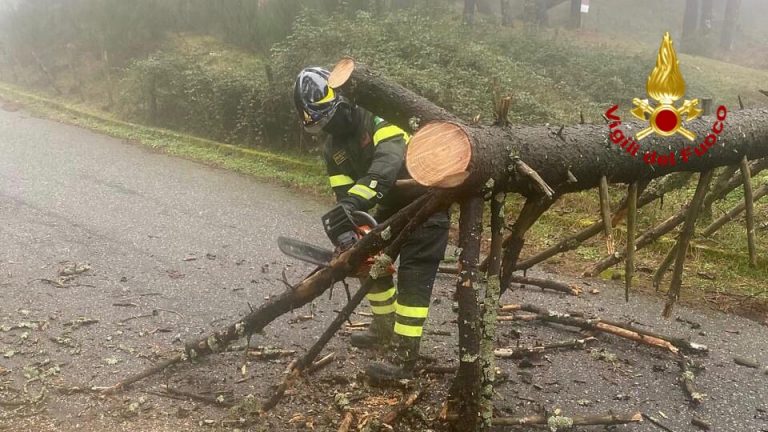 vento maltempo in provincia di messina