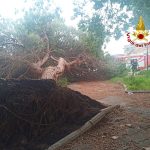 albero crollato nei pressi della stazione abbandonata di milazzo