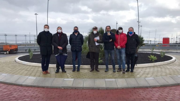 olivo rotonda della nuova via don blasco