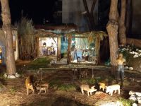 presepe messina