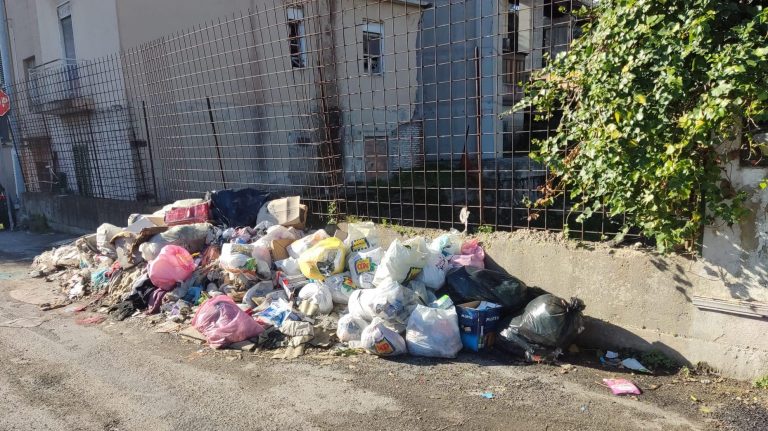 rifiuti scuola media