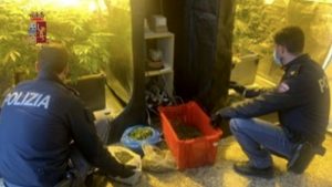 serra marijuana arresto a messina