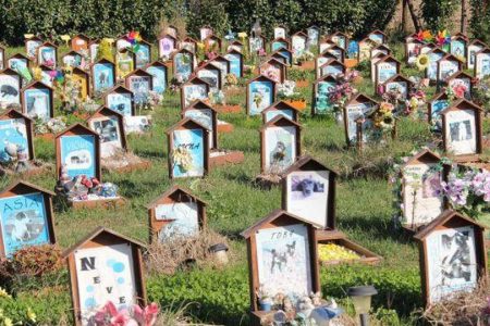 cimiteri animali domestici sicilia