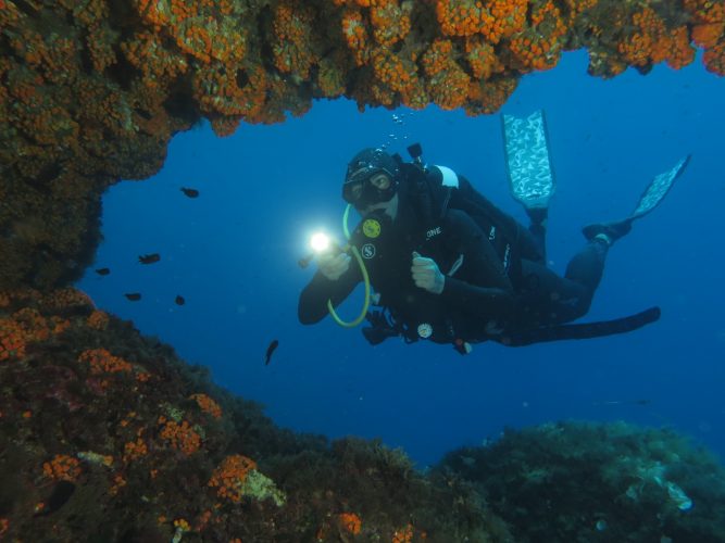 campionato siciliano fotografia subacquea