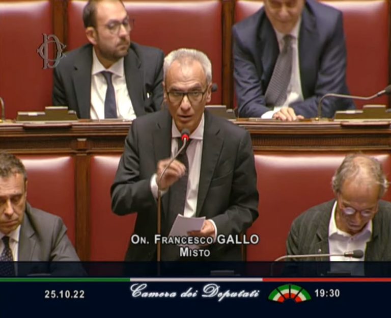 francesco gallo alla camera sul voto di fiducia al governo di giorgia meloni