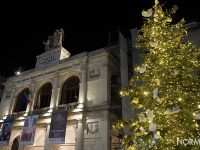 accensione alberi di natale 2022 a messina