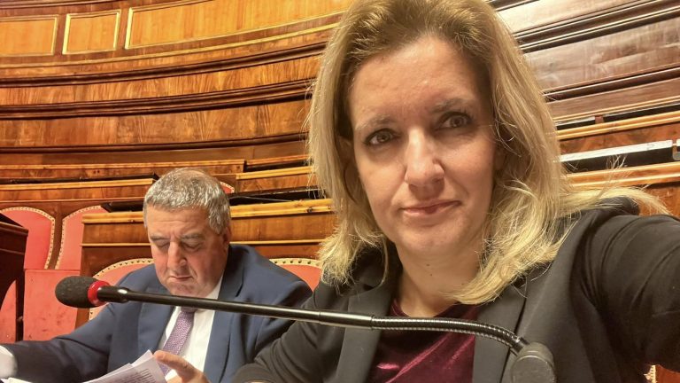 dafne musolino senato