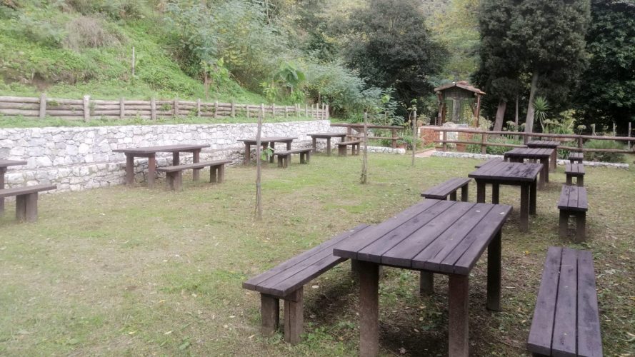 picnic area attrezzata di camaro bosco foresta