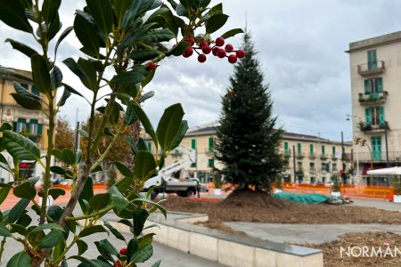 albero di Natale 2023 piazza Cairoli