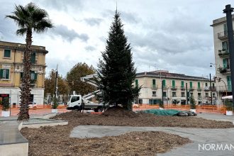 albero di Natale 2023 piazza Cairoli