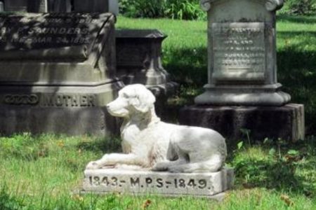 cimitero per animali domestici, cani e gatti