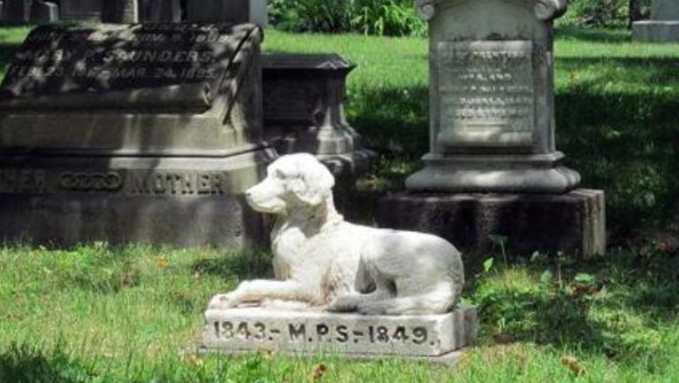 cimitero per animali domestici, cani e gatti