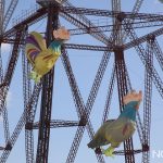 festival degli aquiloni di capo peloro messina 2025