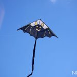 festival degli aquiloni di capo peloro messina 2025