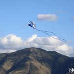 festival degli aquiloni di capo peloro messina 2025