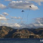 festival degli aquiloni di capo peloro messina 2025